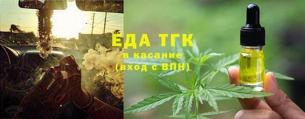 индика Алексин